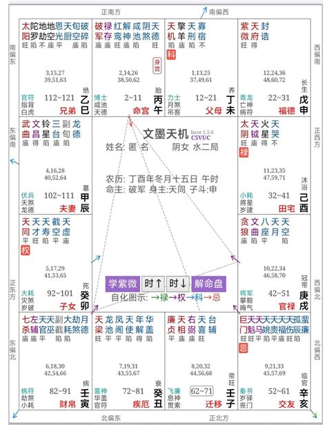 紫微命格種類|紫微斗数的命格